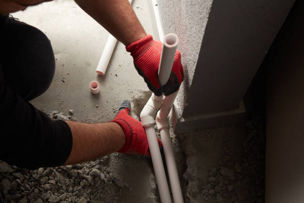 Best Local Plumber Services  in Cold Spring, KY